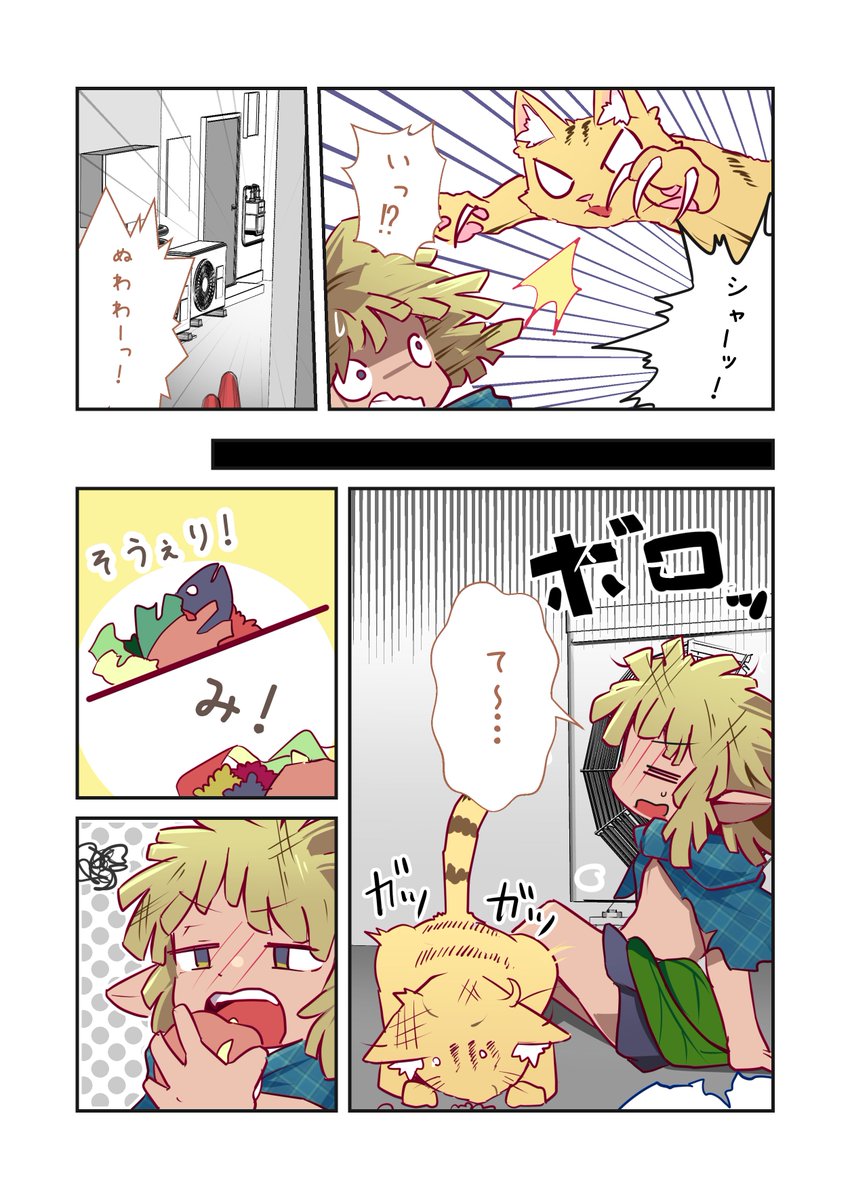 人間に迷惑をかけるタイプの野良妖精 