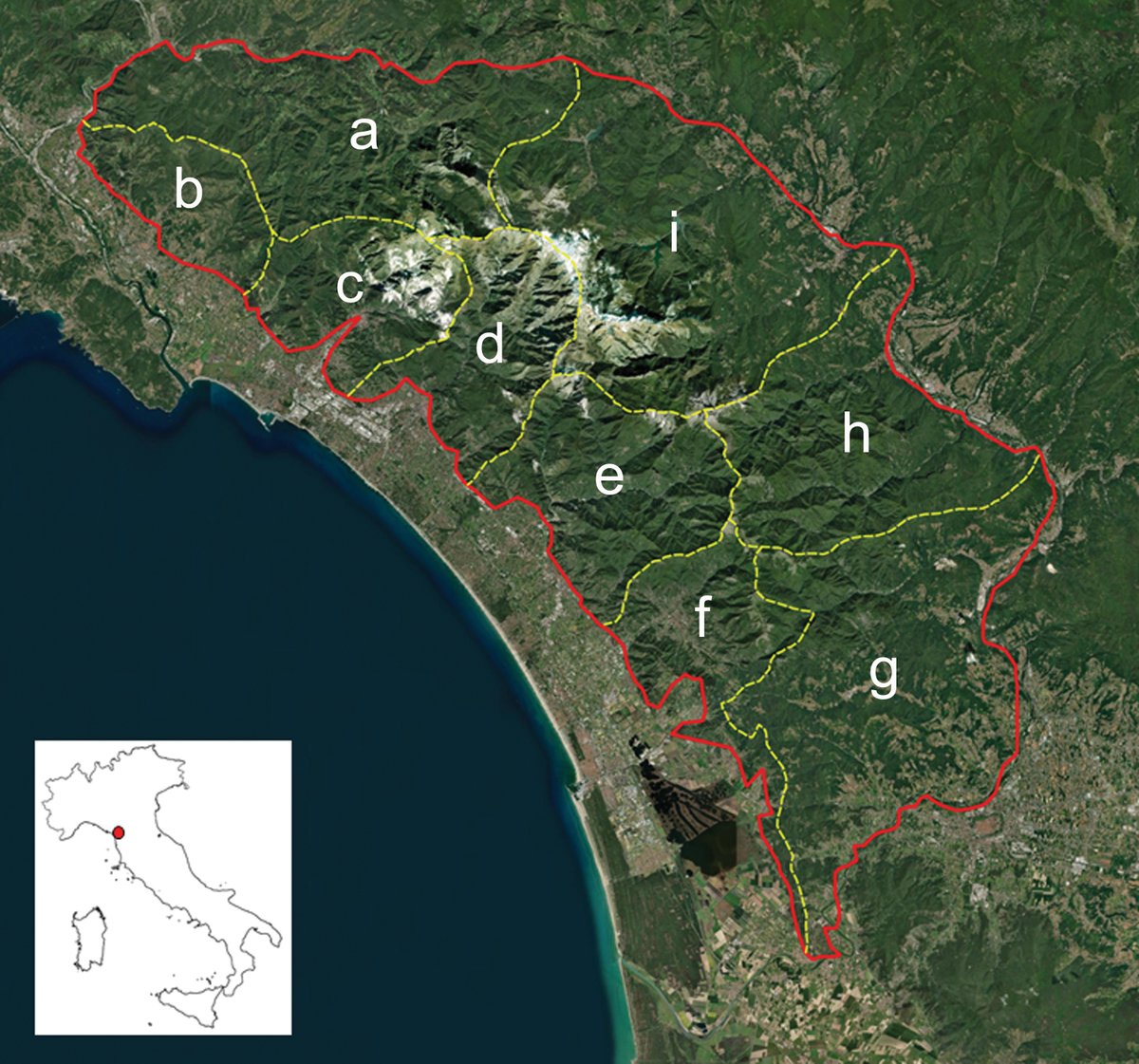 Italian Botanist tweet media