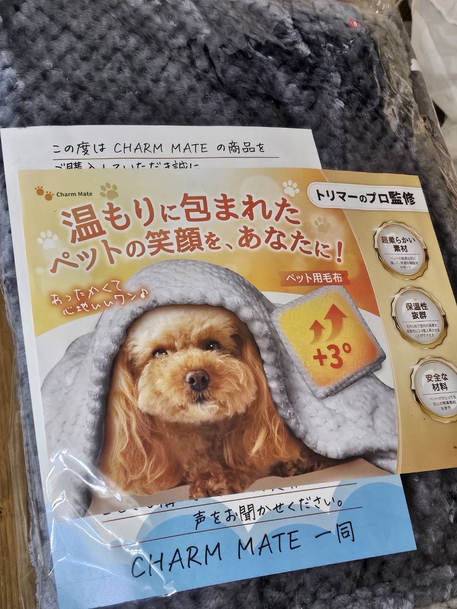のら助 tweet media