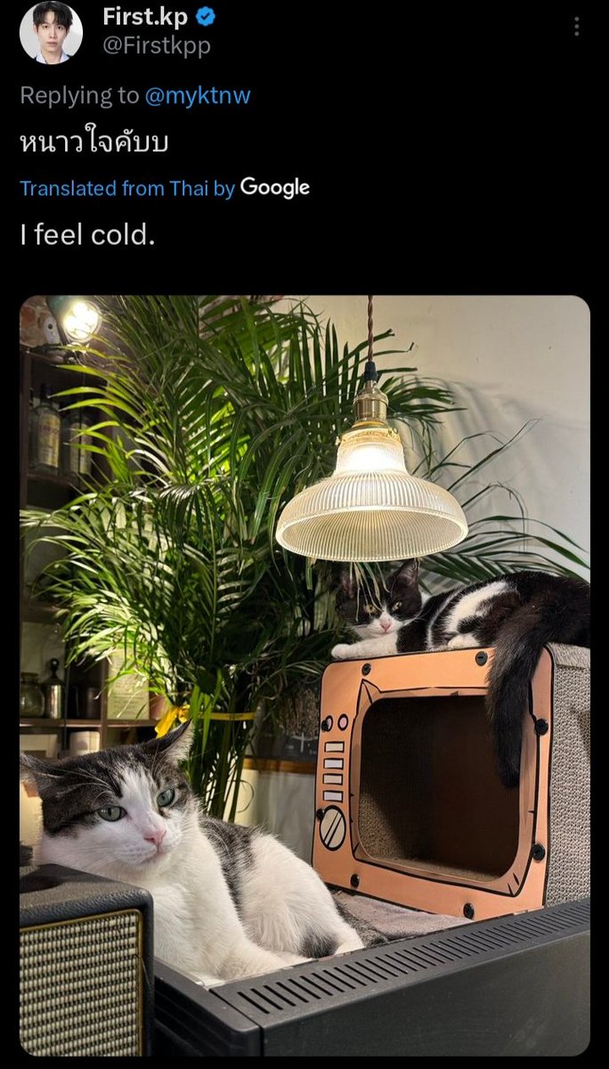 luv_firstkhao's tweet image. 🐈: are you cold?
🐈‍⬛: my heart is cold
 
i think this is a playful way of saying “i’m feeling sad or i’m feeling lonely”. he must sad or lonely because khaotung is not there 😭

#Firstkanaphan #khaotungg #เฟิร์สข้าวตัง