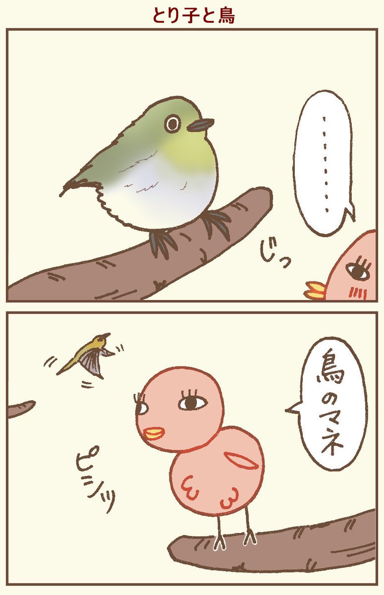 鳥の自覚のない鳥🐥
#イラスト #4コマ #4コマ漫画 #鳥 #漫画が読めるハッシュタグ 