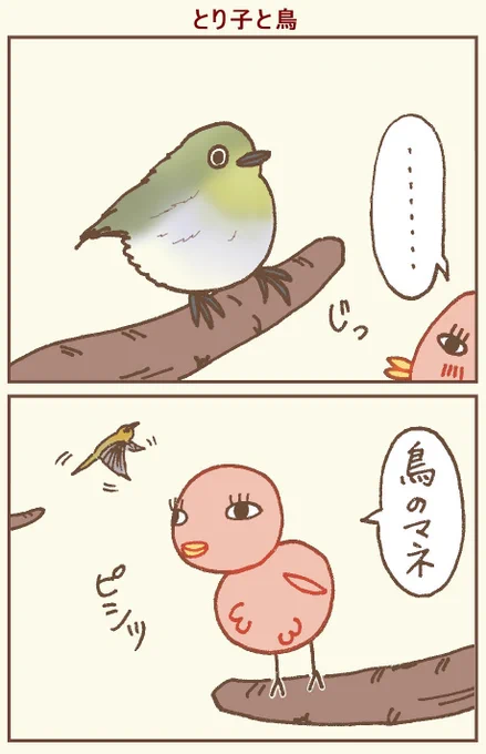 鳥の自覚のない鳥🐥
#イラスト #4コマ #4コマ漫画 #鳥 #漫画が読めるハッシュタグ 