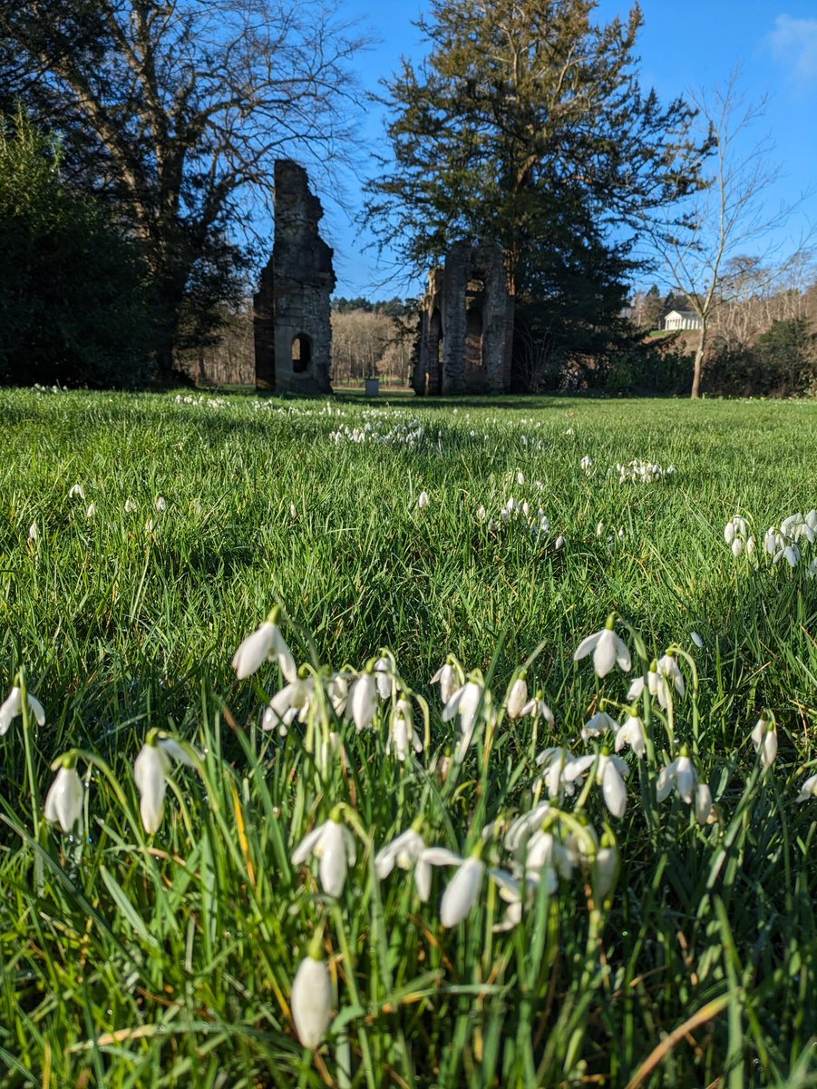 Painshill's tweet photo. 💮Spring is on its way!
🌼Beautiful spring bulbs are emerging, bringing colour to Painshill's landscape.
🌸Visit us soon to experience the blooms at their peak.
ℹ️Tickets are cheaper if booked online in advance at https://t.co/e67bL0pXy5
#HereComesSpring #Painshill #SpringBulbs #PositiveVibes #Charity #Heritage #Spring