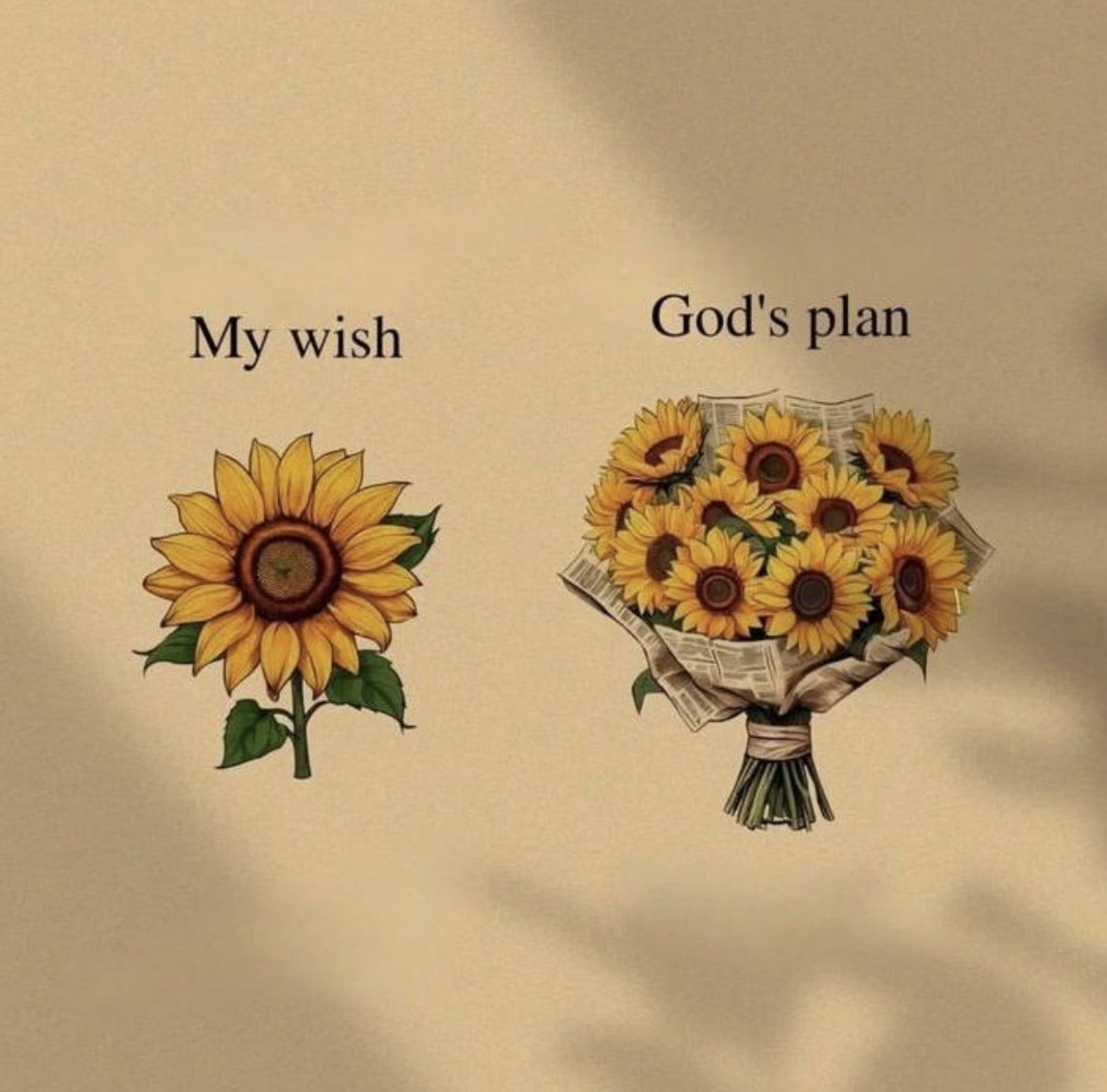 God's plan >>>