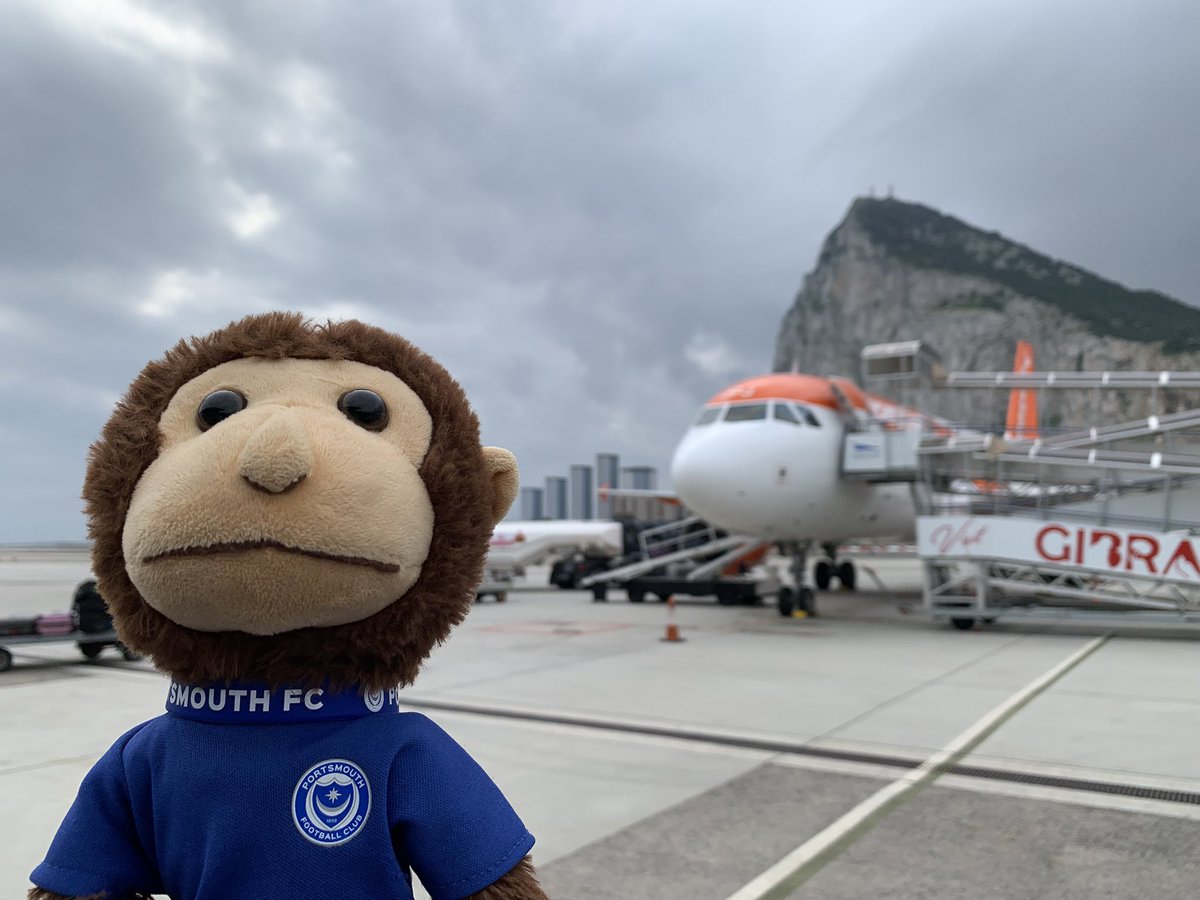 Gibraltar Monkey Pompey Fan tweet media