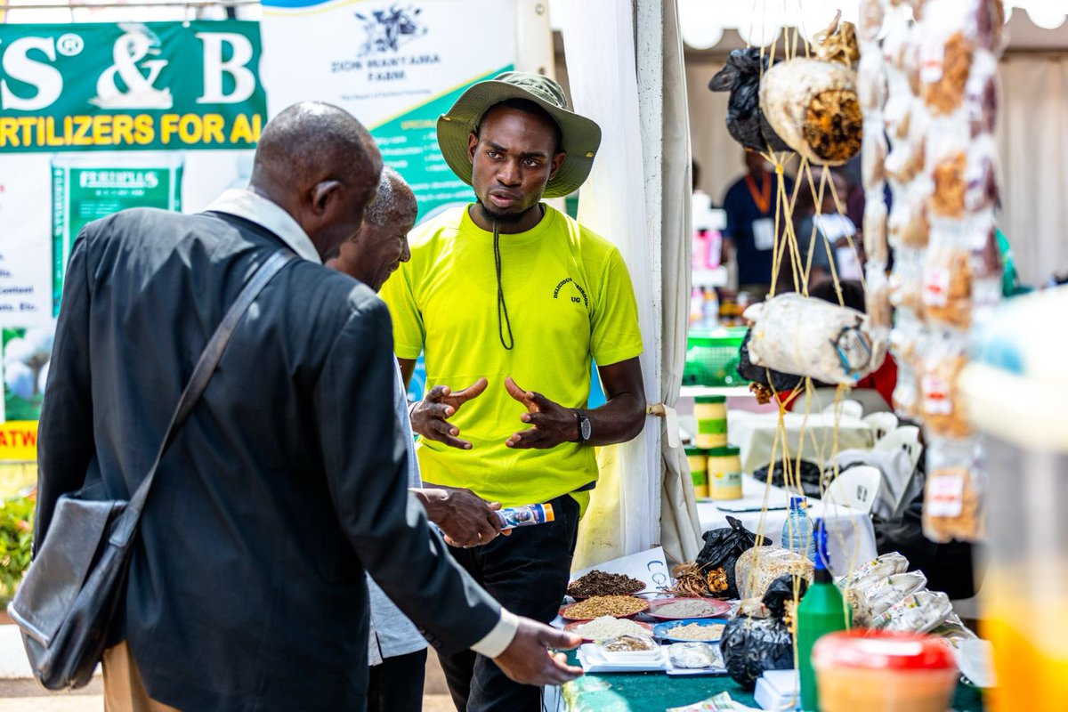 Busuulwa Kenneth (@kennethkent02) on Twitter photo Itβs my pleasure to share my knowledge with the aged one and at the same time learn,Relearn & non learn from their experiences at Harvest Money Expo 2025
Thank you <a href="/FondazioneAVSI/">Fondazione AVSI</a> @TheSAYproject and <a href="/GuluVarsity/">Gulu University</a> for empowering and skilling a young generation. Itβs my pleasure to share my knowledge with the aged one and at the same time learn,Relearn & non learn from their experiences at Harvest Money Expo 2025
Thank you <a href="/FondazioneAVSI/">Fondazione AVSI</a> @TheSAYproject and <a href="/GuluVarsity/">Gulu University</a> for empowering and skilling a young generation.