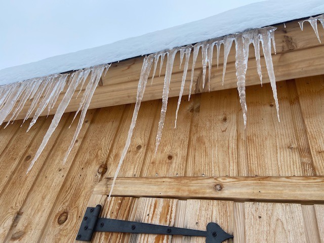 The icicles on my garden shed remind me that I haven’t seen my garden tools for almost 3 months.  I wonder if they miss me?