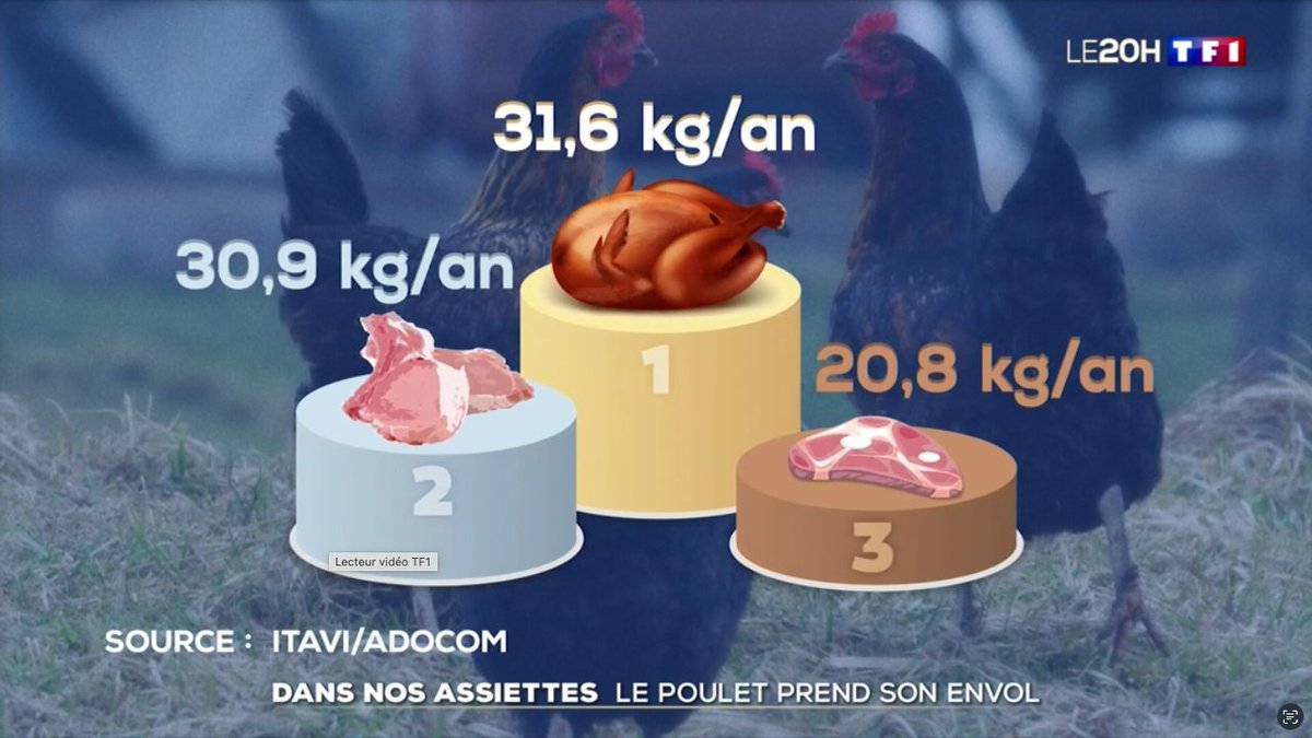 rudyversity's tweet image. 🇫🇷 La consommation de viande par an et par habitant en France.
🇯🇵 フランスにおける1人当たりの年間肉消費量。

① Poulet｜鶏肉
② Porc｜豚肉
③ Bœuf｜牛肉