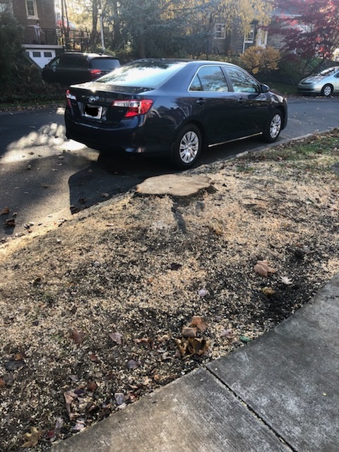 Before vs After stump grinding pics hit different 😍 Went from 'haunted forest vibes' to 'ready for Better Homes &amp; Gardens' in 30 minutes flat! #HomeImprovement #YardTransformation