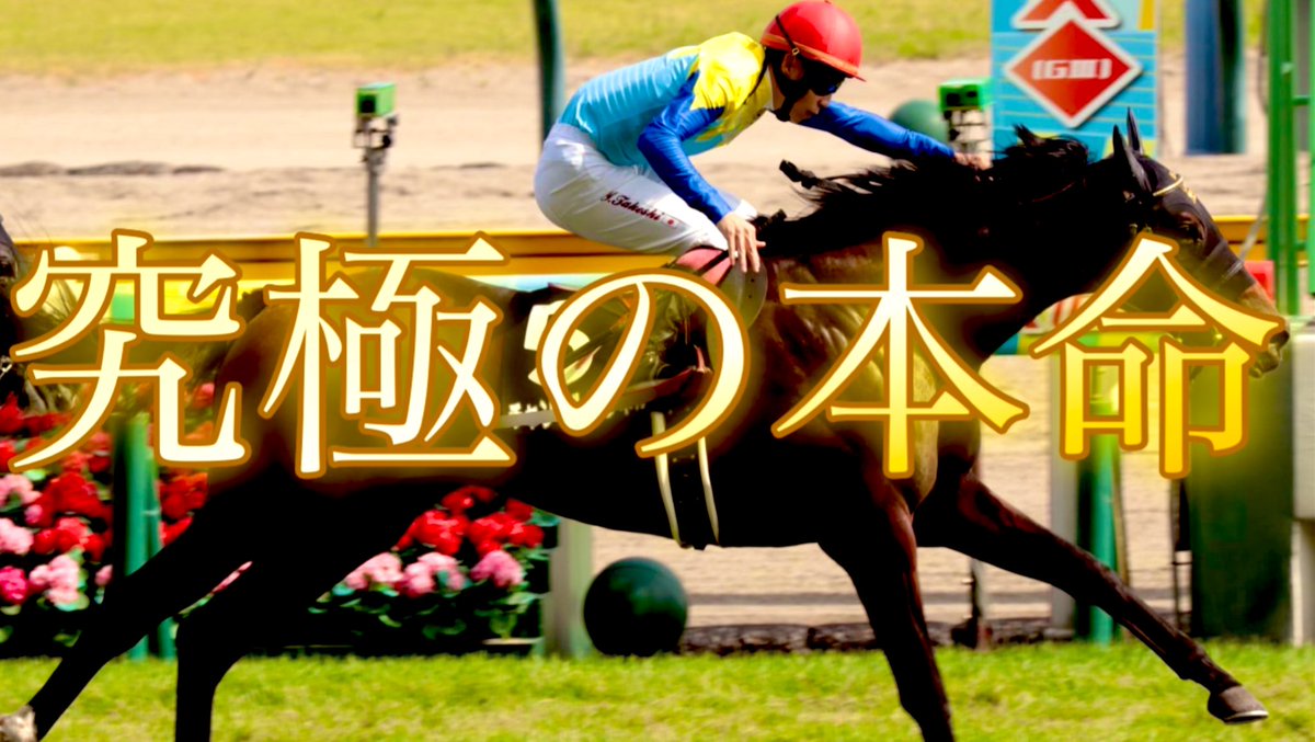 666yamikeiba's tweet photo. 【すぐ消す】明日平場。究極の本命馬。
反応した人限定で教える。

魂のいいね
そして「究極の本命」をリプ📝

本当に知りたい人のみでよろしく。
全レース予想してるので忙しいから🥹
　　　　　　　　　　　　　　　　　　　　　　　　　　　　　　　　　しかも現在2人気以下..
オッズ妙味ありすぎて感謝しかない

さて、その馬の紹介に入ろう。いいねで
#さらに表示