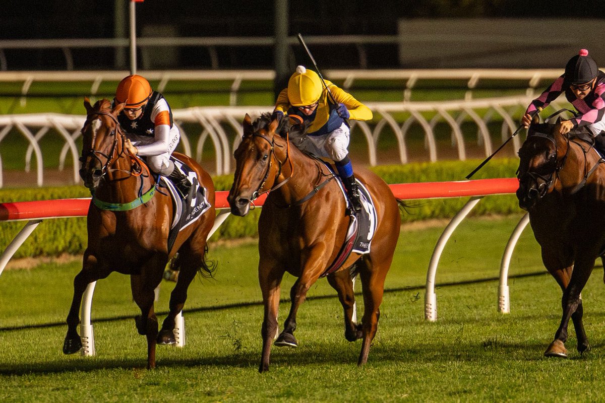 Clarke Bloodstock (@clarkebstock) on Twitter photo Yankee One shoots back into the winners stall first-up for <a href="/BBakerRacing/">Bjorn Baker Racing</a>, <a href="/RidgmontFarm/">RidgmontFarm</a> and partners!
The well-bred daughter of Snitzel looks to have more in store. <a href="/silverdale_farm/">Silverdale Farm</a> Yankee One shoots back into the winners stall first-up for <a href="/BBakerRacing/">Bjorn Baker Racing</a>, <a href="/RidgmontFarm/">RidgmontFarm</a> and partners!
The well-bred daughter of Snitzel looks to have more in store. <a href="/silverdale_farm/">Silverdale Farm</a>