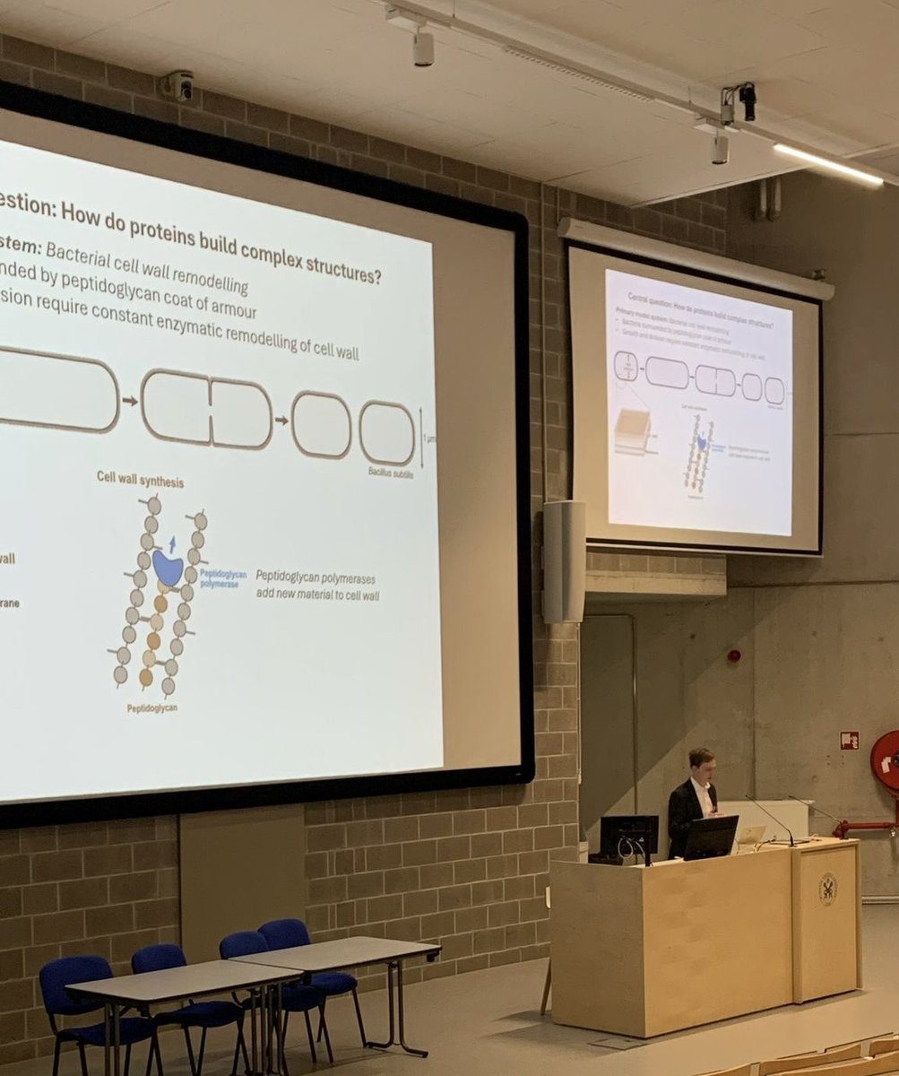Young Belgian Society for Microbiology (YBSM) (@ybsmicrobiology) on Twitter photo Our second speaker is Seamus Holden from <a href="/uniofwarwick/">University of Warwick</a>, highlighting the role of the cytoskeleton dynamics in bacterial cell division 🦠🔬
<a href="/VUBrussel/">VUB</a> #BSMsymposium2025 <a href="/MicrobioBel/">Belgian Society for Microbiology (BSM)</a> Our second speaker is Seamus Holden from <a href="/uniofwarwick/">University of Warwick</a>, highlighting the role of the cytoskeleton dynamics in bacterial cell division 🦠🔬
<a href="/VUBrussel/">VUB</a> #BSMsymposium2025 <a href="/MicrobioBel/">Belgian Society for Microbiology (BSM)</a>
