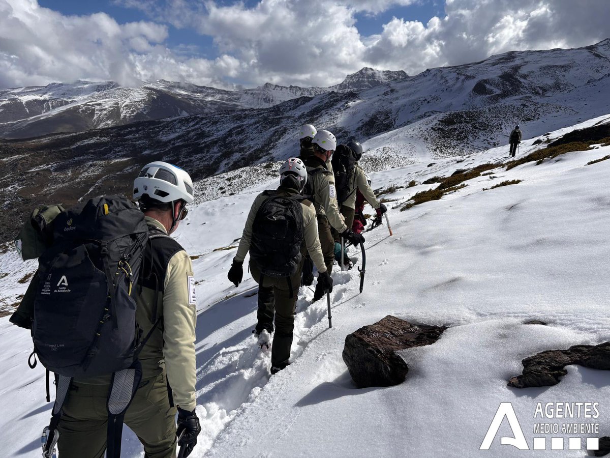 📢 Esta semana hemos impartido un curso dentro de la formación del @IAAPandalucia sobre técnicas básicas de progresión y seguridad en montaña. 🚶‍♂️🏔️
🎯 Destinado a Agentes de Medio Ambiente y Celadores Forestales en Sierra Nevada.
📸 Os dejamos algunas fotos. 👇