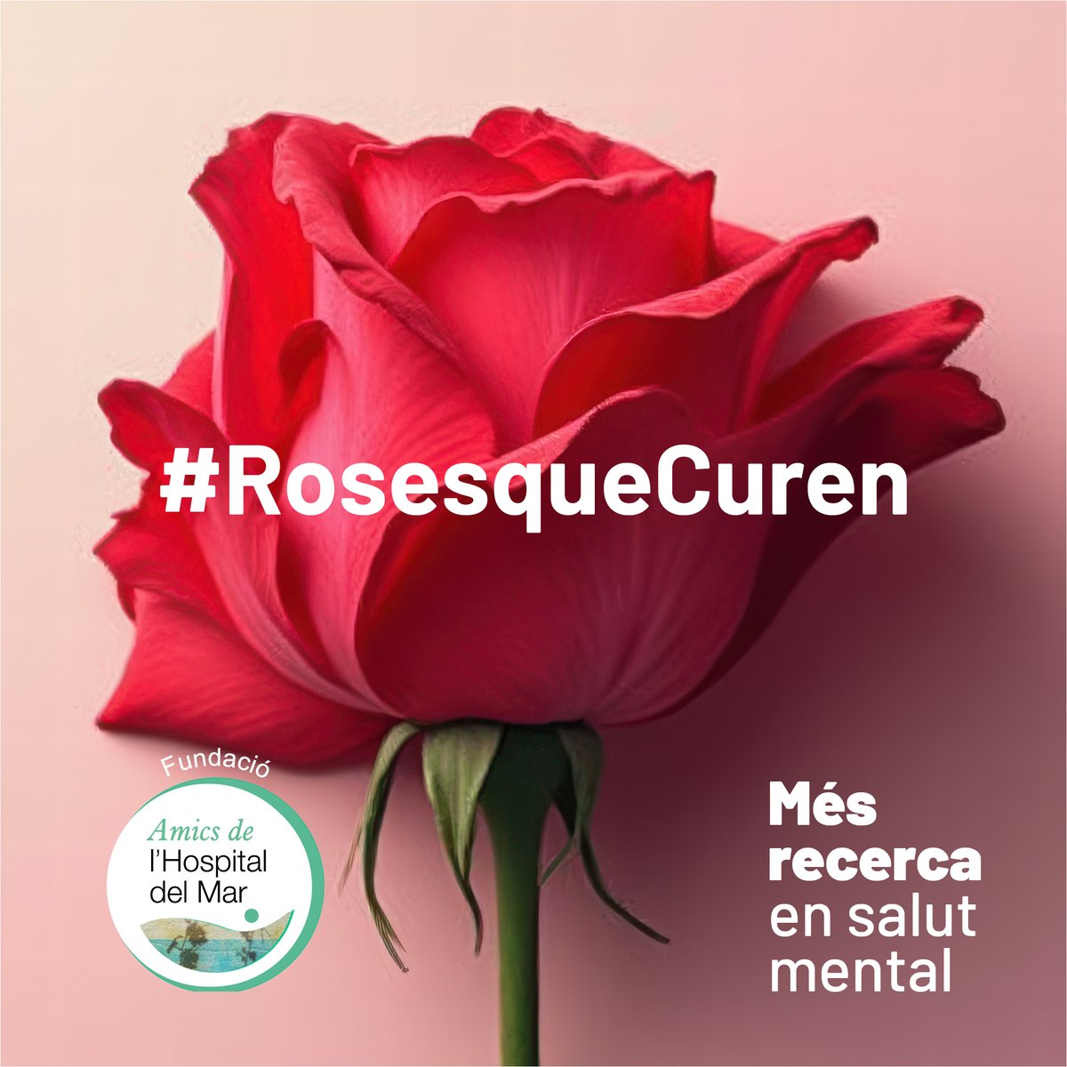 AMICS Hospital Mar (@amicshmar) on Twitter photo 🌹💙GRÀCIES, <a href="/ShokoBCN/">Shôko Barcelona</a>
Ens fa molta il·lusió que SHOKO se sumi a #RosesqueCuren, una campanya solidària per la recerca en salut mental. 🧠
📢 Empreses, us necessitem! Feu la vostra comanda de roses solidàries aquí 👉 bit.ly/4i78bG7
Junts fem un #SantJordi especial! 🌹💙GRÀCIES, <a href="/ShokoBCN/">Shôko Barcelona</a>
Ens fa molta il·lusió que SHOKO se sumi a #RosesqueCuren, una campanya solidària per la recerca en salut mental. 🧠
📢 Empreses, us necessitem! Feu la vostra comanda de roses solidàries aquí 👉 bit.ly/4i78bG7
Junts fem un #SantJordi especial!