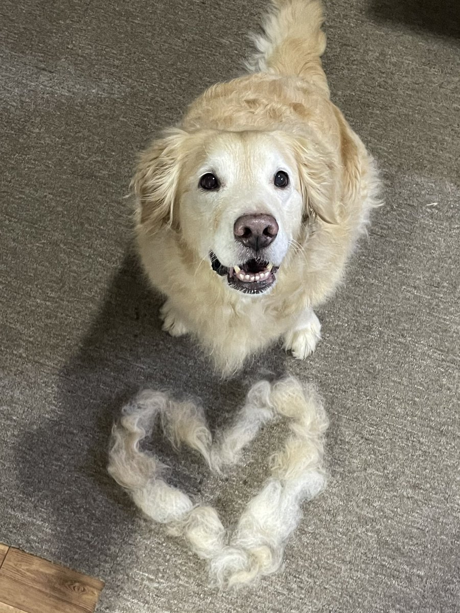 ruby_sm_'s tweet image. 🫶