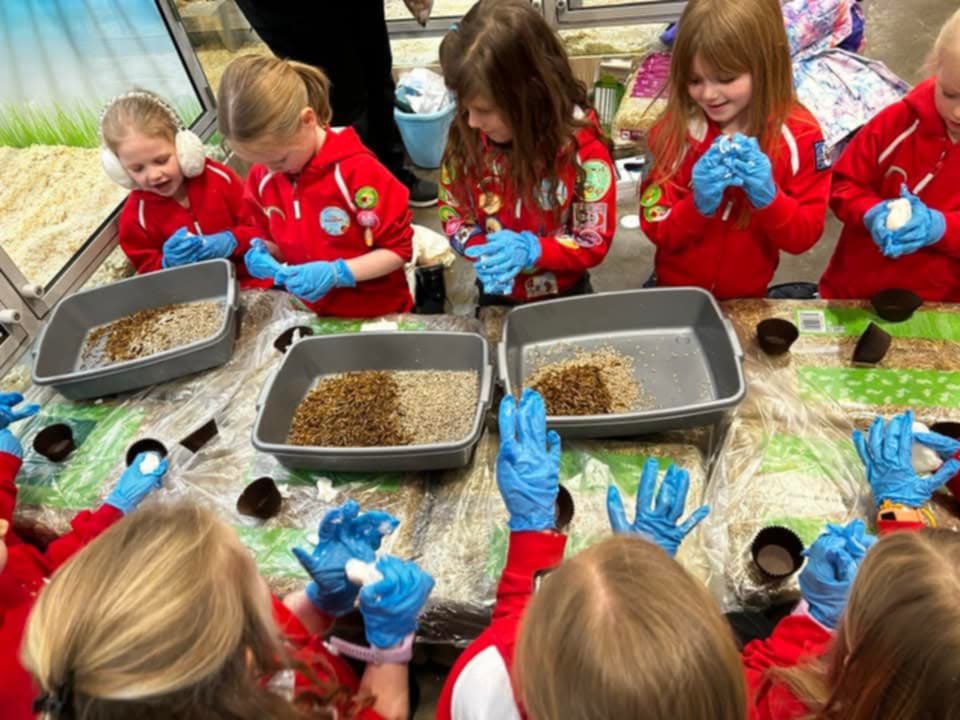 gg_tay_ochils's tweet image. Clackmannanshire Division
1st Menstrie Rainbows finished their Animal Lover badges with a trip to their local Pets at Home where they made fat balls to feed the birds and they fed the fish too.  Well done Rainbows!  @GirlguidingScot @Girlguiding #Rainbows #PetsAtHome