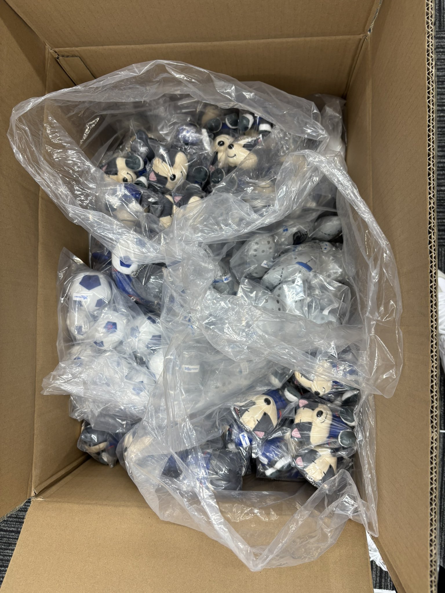 Tom Cool | @Xamanwallet🪝 on X: 