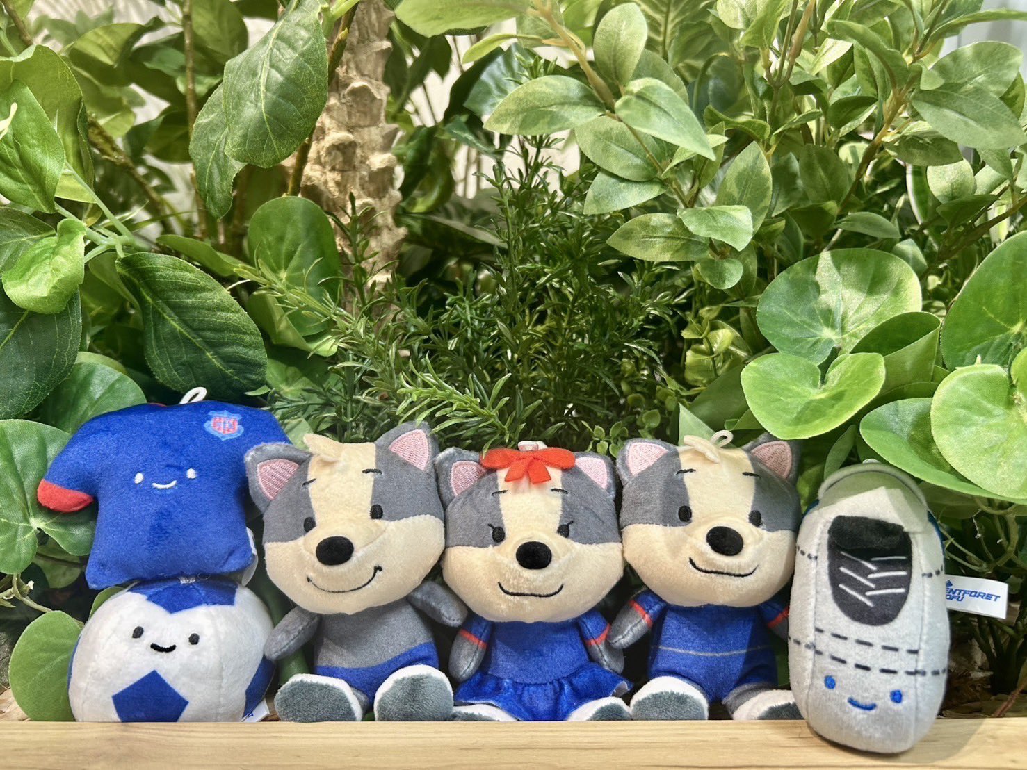 関 楓 on X: 