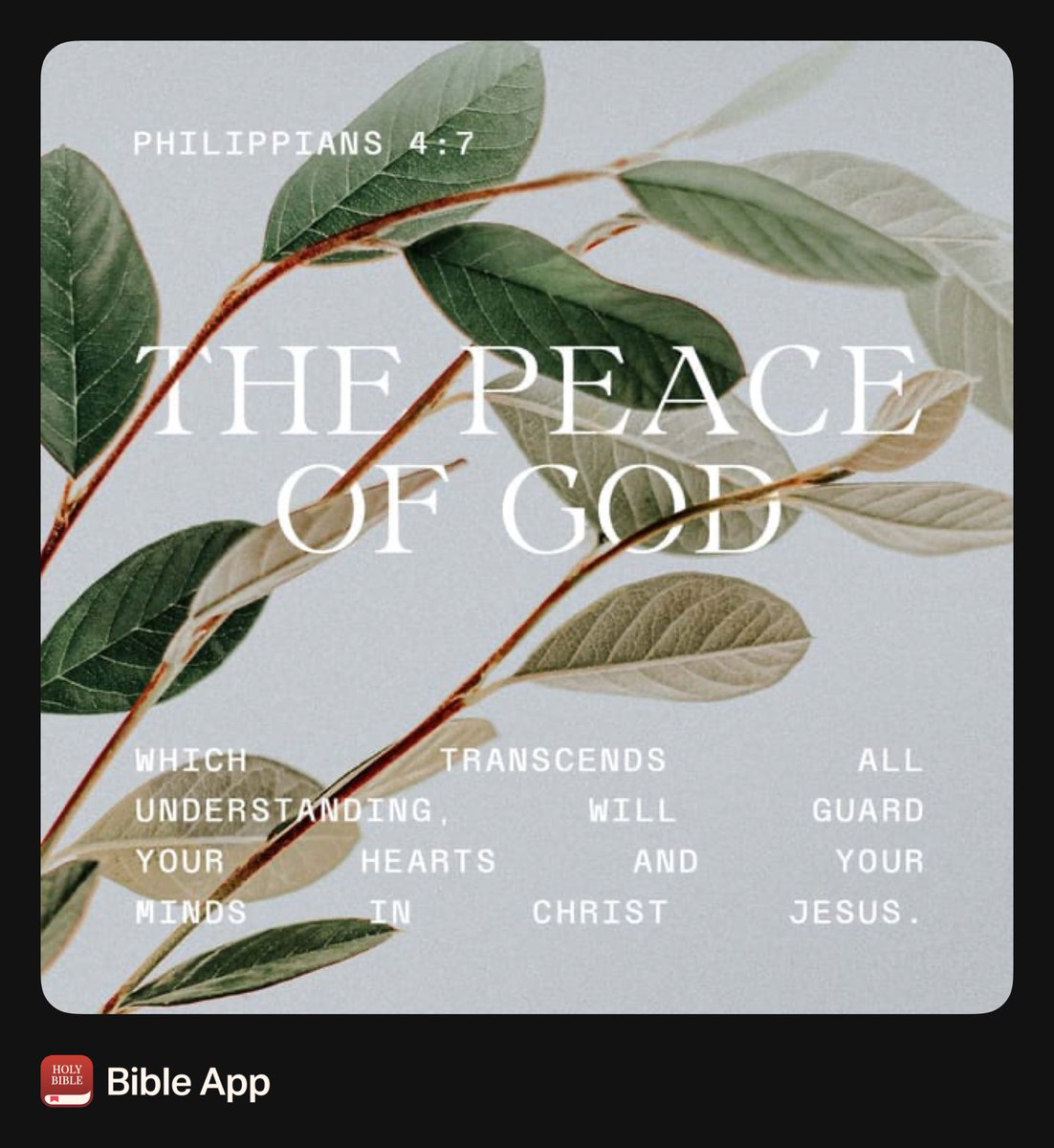 Cassandra Jackson tweet media