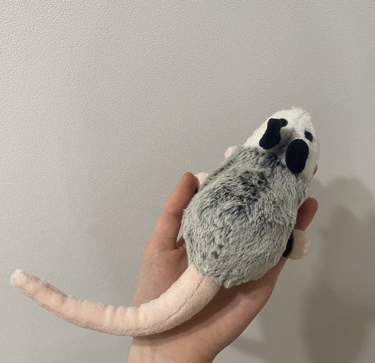 #rt #rt이벤트

두 달정도 늦었지만.. 주머니쥐 아카이브 1주년 기념으로 이벤트 진행합니다!

상품 : 핸드메이드 주머니쥐 인형 (제작자 <a href="/lattattta/">라따따공ㅂ5🪡</a> 님)
참여 방법 : rt

당발은 다음 주 내로 추첨으로 한 분 뽑겠습니다!
앞으로도 귀여운 주머니쥐 많이 업로드할테니 지켜봐주세요💖