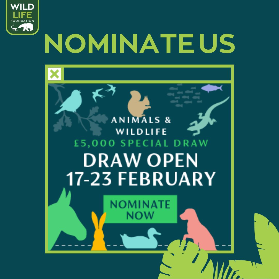 WildLife Foundation tweet media