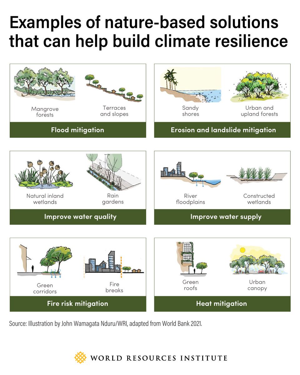 Nature based solutions (NBS) have a lot to offer sub-Saharan Africa, like: 

☀️Reduced extreme heat. 
💧Improved water security. 
🌱New green jobs. 

A new report from WRI and <a href="/WorldBank/">World Bank</a> via <a href="/GFDRR/">GFDRR</a> shows where NBS has already taken root, and what's needed to scale. Read more: