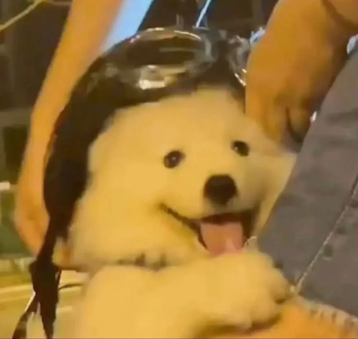 mood กุในวันศุกร์ : 

ตอนทำงาน                            ตอนเลิกงาน