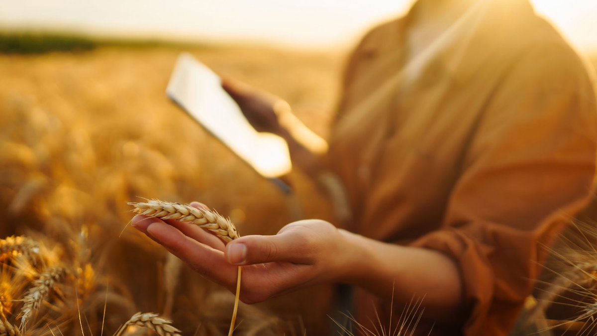 Xor Systems tweet media