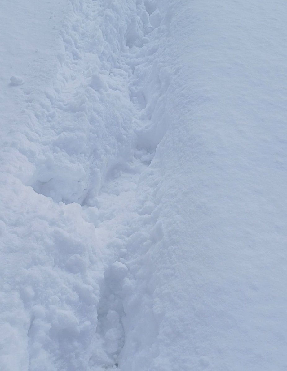 Seviyorum bu havayı 
Temizliği simgeleyen kar🌨🥰🌨🥰🌨