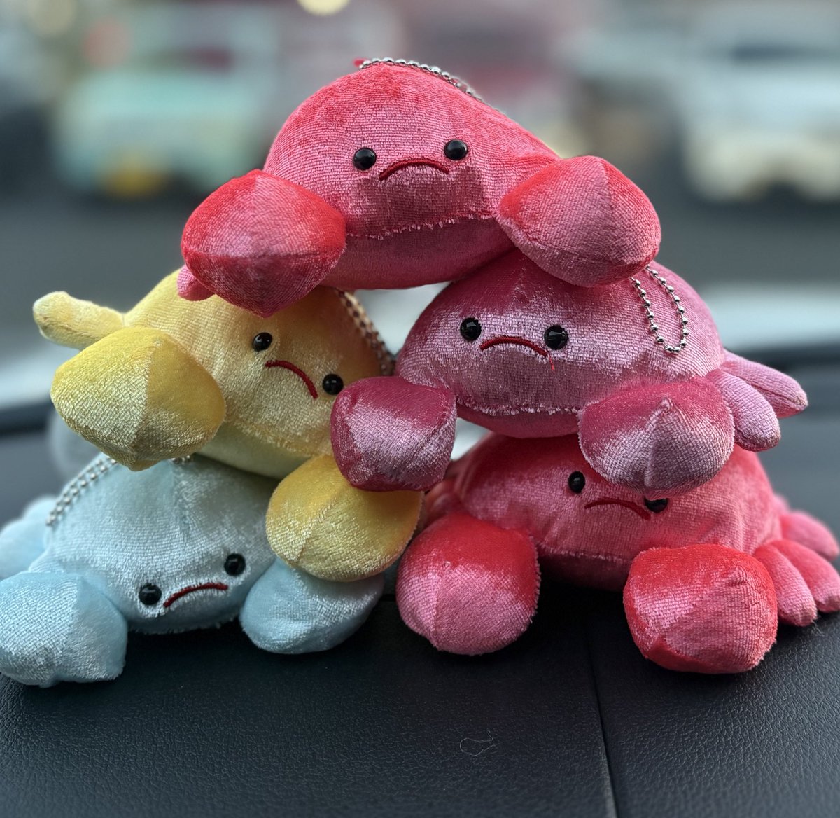 kyu_attakaiocha's tweet image. みんぬぁ〜❣️
協力プレイでかに漁のやつ...やってきた‼️
✊🏻🦀✊🏻 ほほほほほほほ✊🏻🦀✊🏻

#おにんぎょう村
#グーのかに