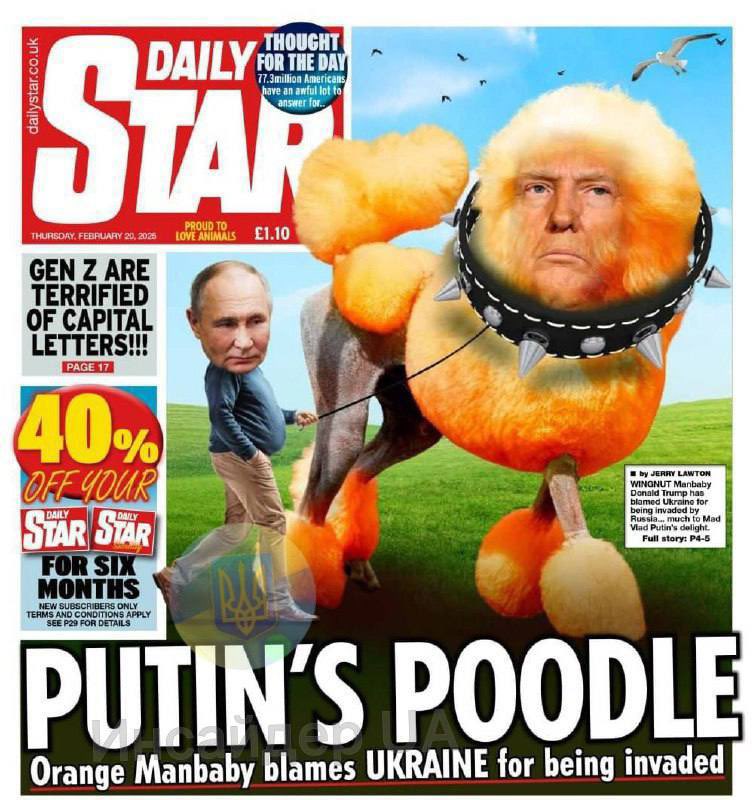clashreport's tweet photo. “This is a Dictator”

“Putin’s Poodle”

Covers of the American New York Post and the British Daily Star. https://t.co/zNadJeupSJ
