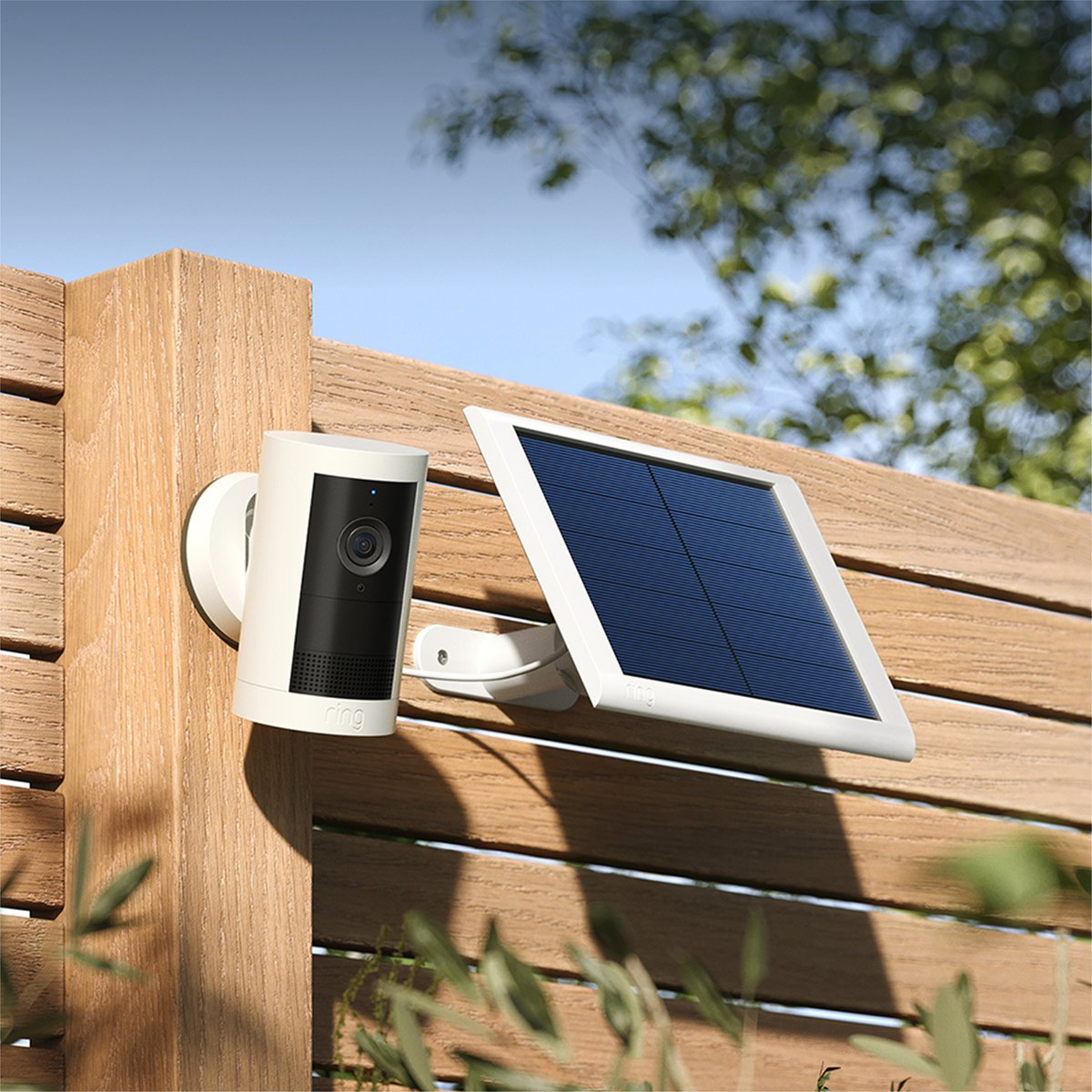 Amazon News JP tweet media