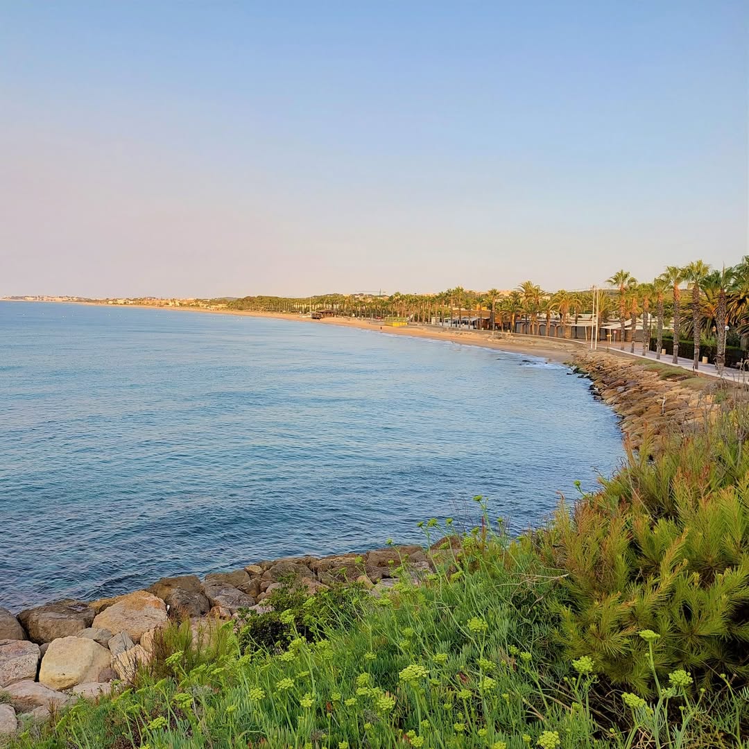 costadauradatur's tweet image. 🏖️ Coneixeu la platja Llarga de Roda de Berà? És d'un interès especial degut a la presència de l'ecosistema dunar dels Madalers, un racó natural únic 🌿.

ℹ️ tuit.cat/6v6qw

📸 Millennials Films, Visit Roda de Berà

#CostaDaurada #familydestination #family