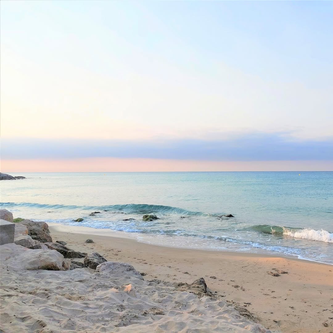 costadauradatur's tweet image. 🏖️ Coneixeu la platja Llarga de Roda de Berà? És d'un interès especial degut a la presència de l'ecosistema dunar dels Madalers, un racó natural únic 🌿.

ℹ️ tuit.cat/6v6qw

📸 Millennials Films, Visit Roda de Berà

#CostaDaurada #familydestination #family