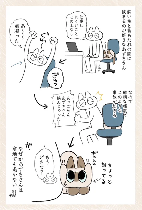 挟まれキャット #シャム猫あずきさんは世界の中心 