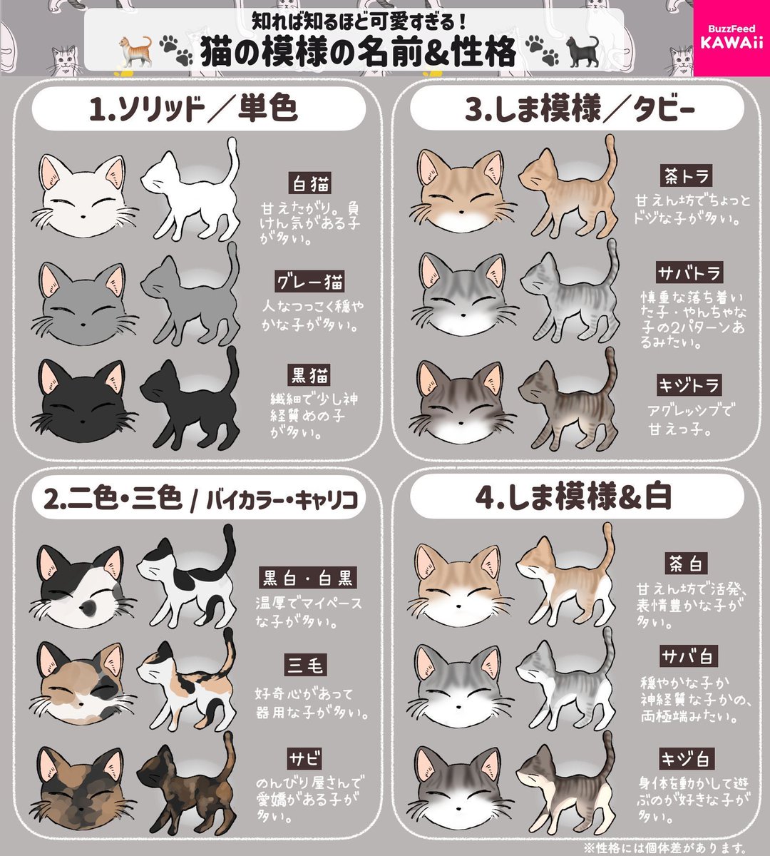 猫 毛 の 色 性格