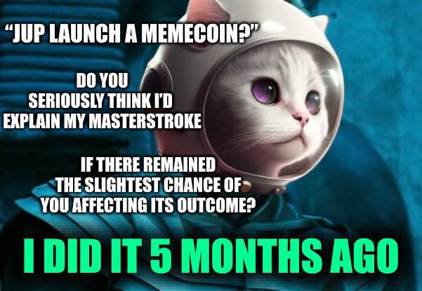 Tobi 🐱 tweet media