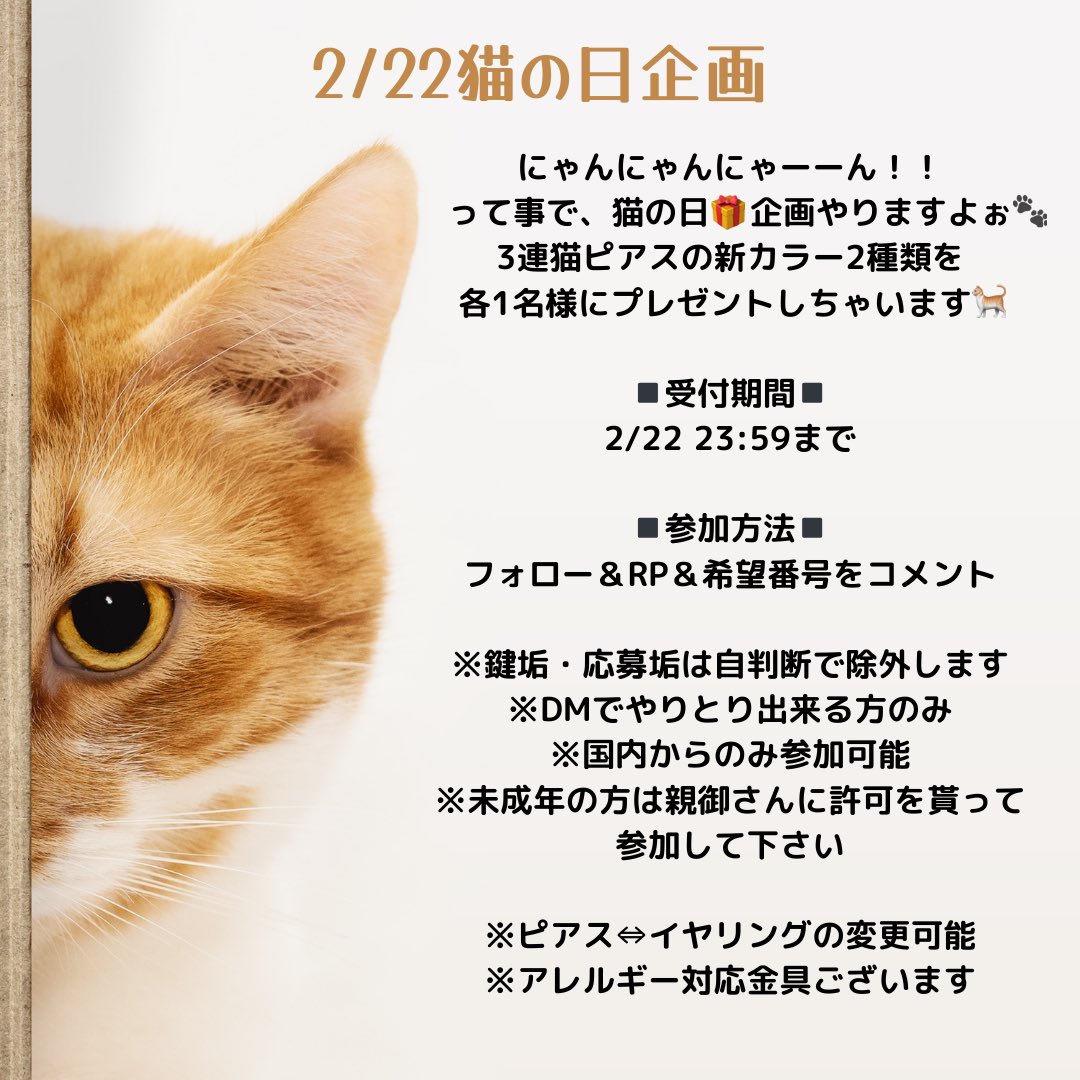 _suzunekoya_'s tweet photo. フライングスタァーーーット！！！

猫の日が来るよ！にゃんにゃんにゃん😼
1日だけの特別企画、詳細は画像にて！

参加方法ミスってても個別連絡は出来ないので許してね、ちゃんと読んでね🤫

良き猫の日をーーー🐈‍⬛⸒⸒⸒⸒🐾❤︎ https://t.co/bVmrFkv90P