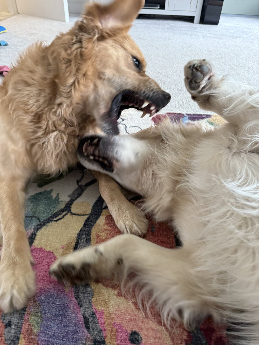 Hells Bells tweet media