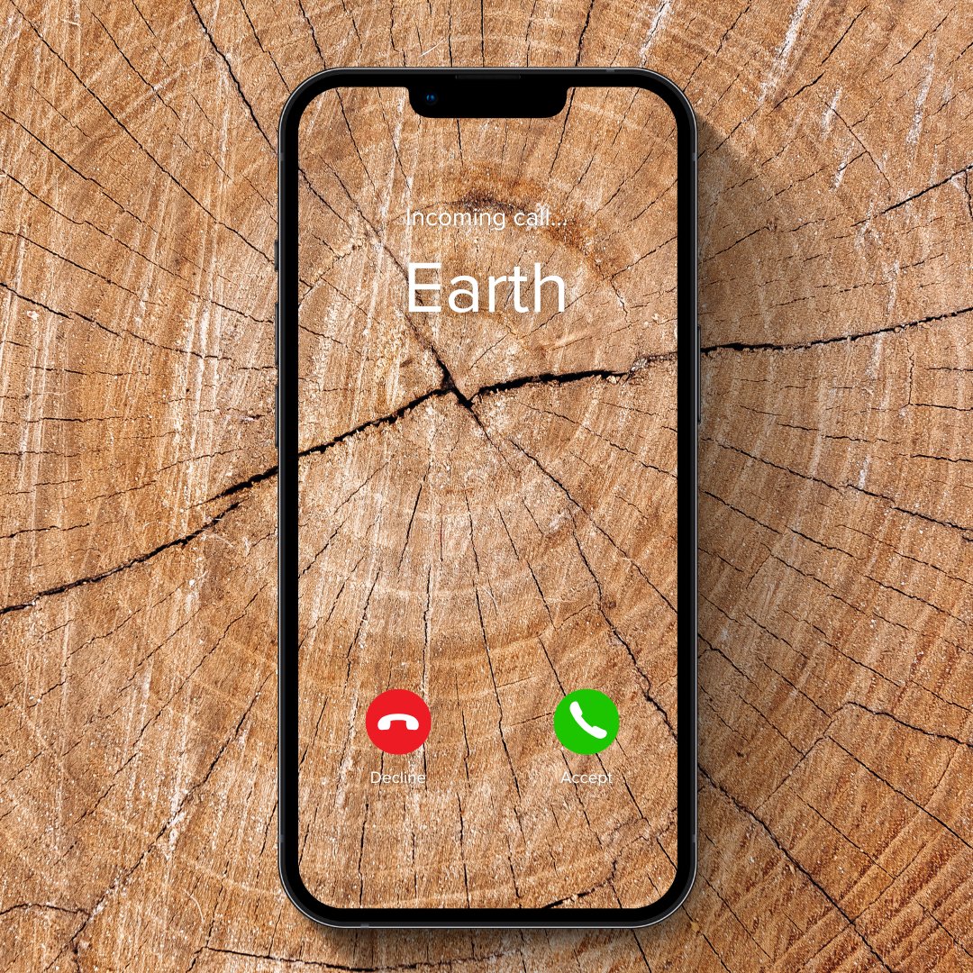 Ensure your wood is correctly certified, environmentally friendly and quality.

We are market leaders in our commitment to the sustainability and legality of our supply base and to responsible business solutions.

Find out more --> timbmet.com/about-us/envir…