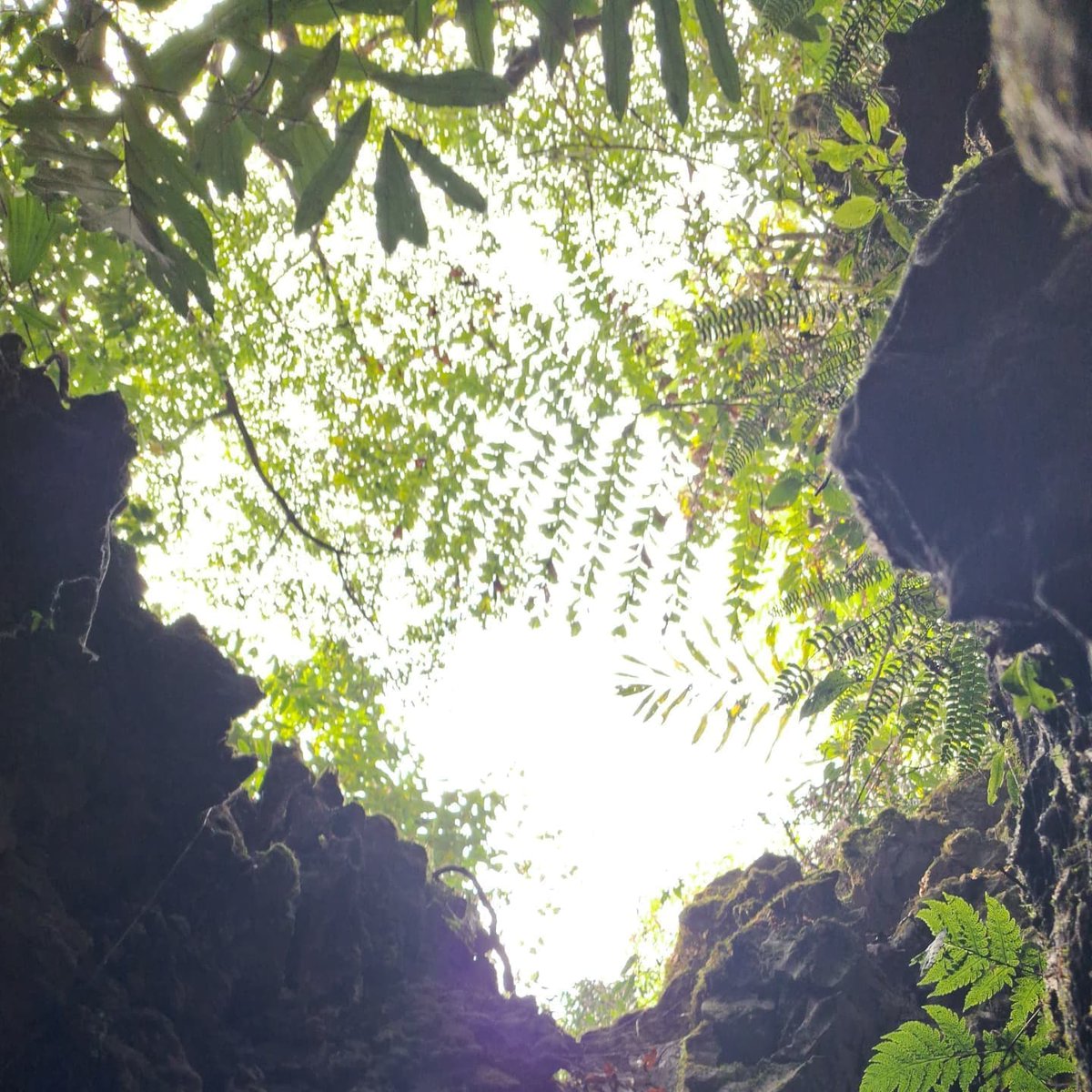 Ncientmusic's tweet photo. Nature 🌿 https://t.co/xRRwrNCRob