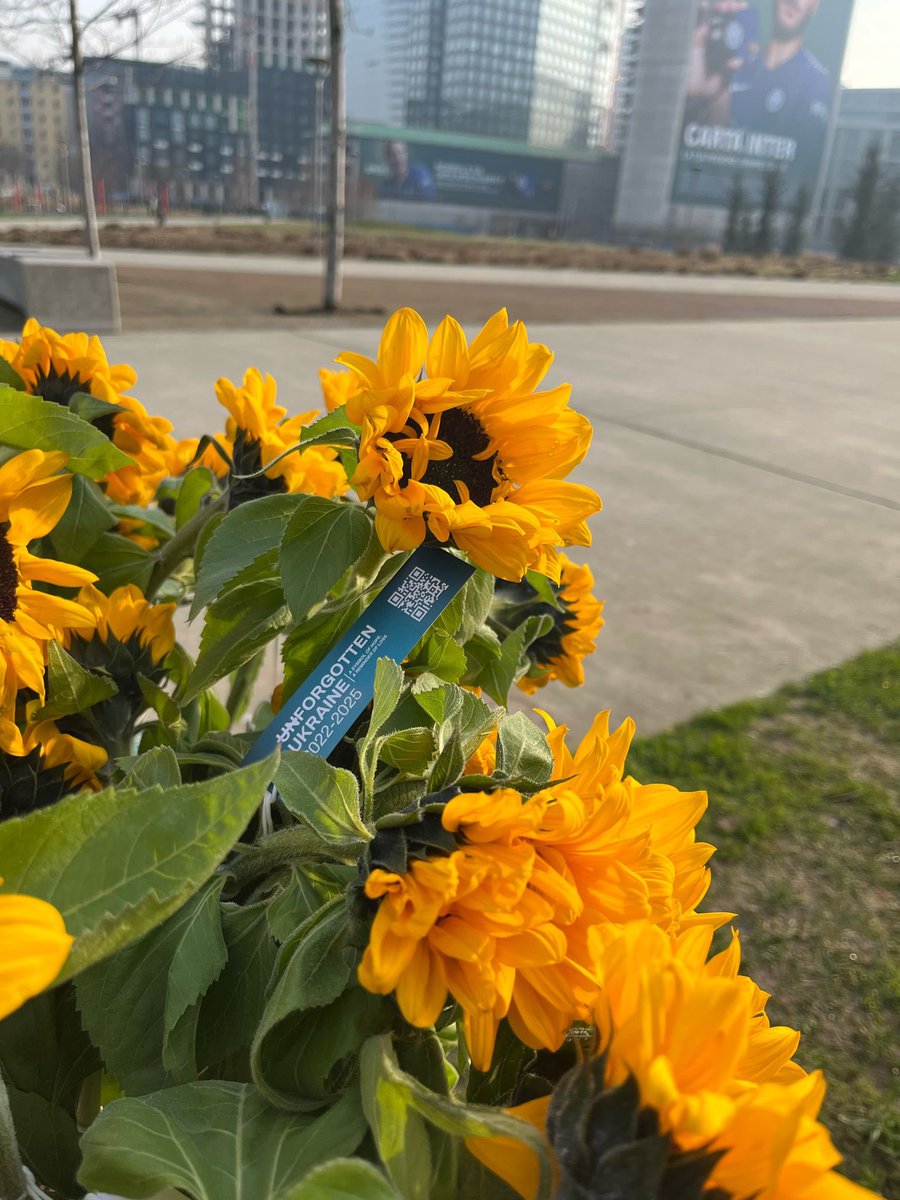 A Milano è arrivato un girasole gigante, simbolo della forza del popolo ucraino. È un grido di speranza che si fa spazio tra le rovine, un inno alla resilienza di una nazione che combatte per la libertà.

<a href="/FondazioneCESVI/">CESVI</a> <a href="/factanza/">factanza</a> <a href="/Europarl_IT/">Parlamento europeo</a> 

#Ukraine