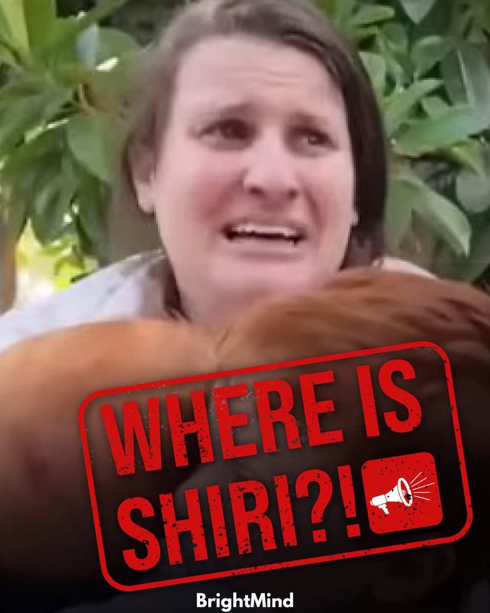 itsmichalll's tweet image. Where is Shiri?
#WhereIsShiri