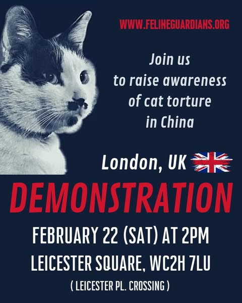 felineguardians's tweet photo. Another protest in the UK happening on Saturday. 
Just by attending a protest, you are showing the world the brutality of this crisis, and how urgently it needs to stop. You will be in good company.

https://t.co/0NPLL8gFM0
#StopChinaCatTorture #VoiceForTheVoiceless #BeTheChange https://t.co/mdQJKDzjEd