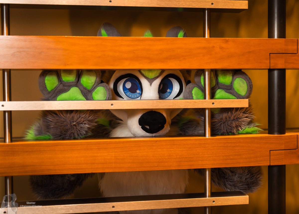 He thinks he’s hiding from you…
Happy #FursuitFriday💚

📸: <a href="/PoisonedShutter/">Shutter</a>