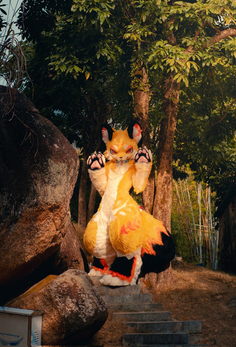 GaoGaofurry's tweet image. 出没在森林的小狐狸🦊

📷 @BKn0WlnnLpihVwv 💛

#FursuitFriday #GaoGao #Furry
