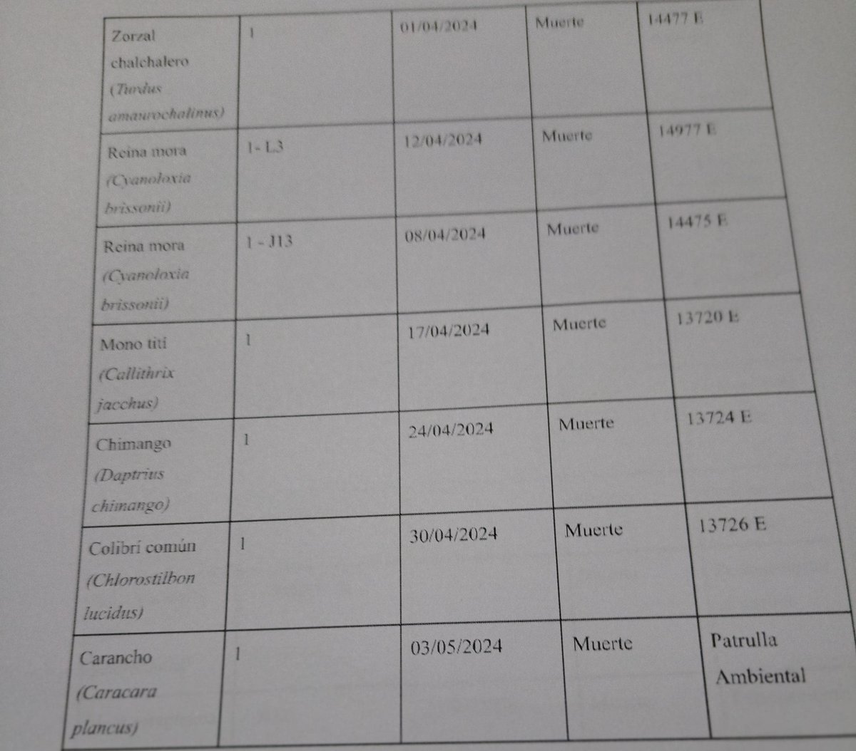 EL "PARQUE DE LA BIODIVERSIDAD" SIGUE SIENDO UN ZOOLÓGICO, Y AHÍ DENTRO SIGUEN MURIENDO ANIMALES.

Mientras Cravero, Folloni y Passerini están de joda y gastan 1,5 millones de pesos por día en jardineros, los animales que no trasladan y siguen ahí, continúan muriendo.