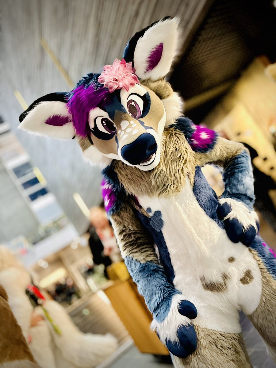 Maiyun, Yala & Ishmi - Sisters of Yue family 🌸 (@yuesisters) on Twitter photo Hey you ! I heard today is #FursuitFriday See you today on party!
🌸Ishmi
<a href="/NordicFuzzCon/">NordicFuzzCon</a>
#NFC2025
🧵<a href="/Fionka_Fursuits/">🐈 Fionka Fursuits 🐈</a>
📸 <a href="/FluffyFionka/">Fionka</a> Hey you ! I heard today is #FursuitFriday See you today on party!
🌸Ishmi
<a href="/NordicFuzzCon/">NordicFuzzCon</a>
#NFC2025
🧵<a href="/Fionka_Fursuits/">🐈 Fionka Fursuits 🐈</a>
📸 <a href="/FluffyFionka/">Fionka</a>