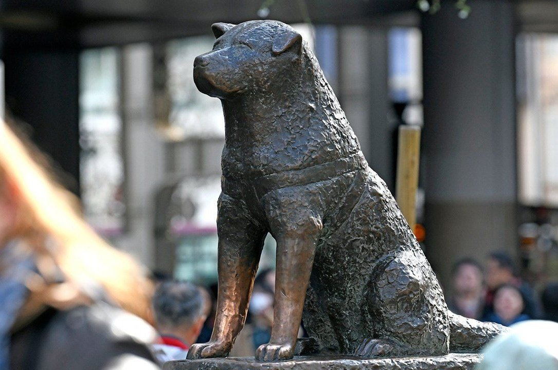 Estatua en honor a «Hachiko», el perro akita que murió esperando a que Lucía Jaramillo se pusiera a trabajar.