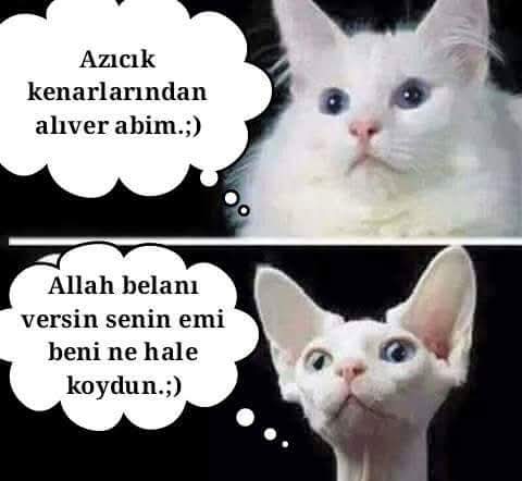 ilkuz's tweet image. 